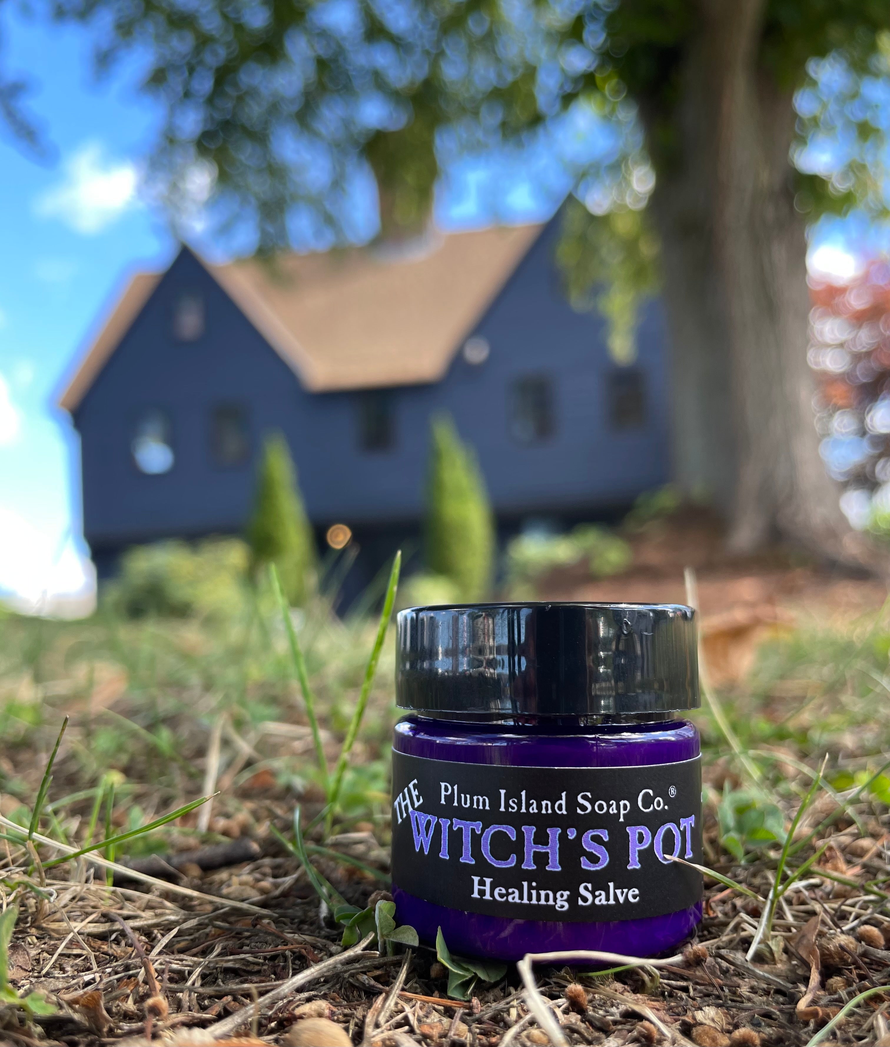 The Witch's Pot Healing Salve